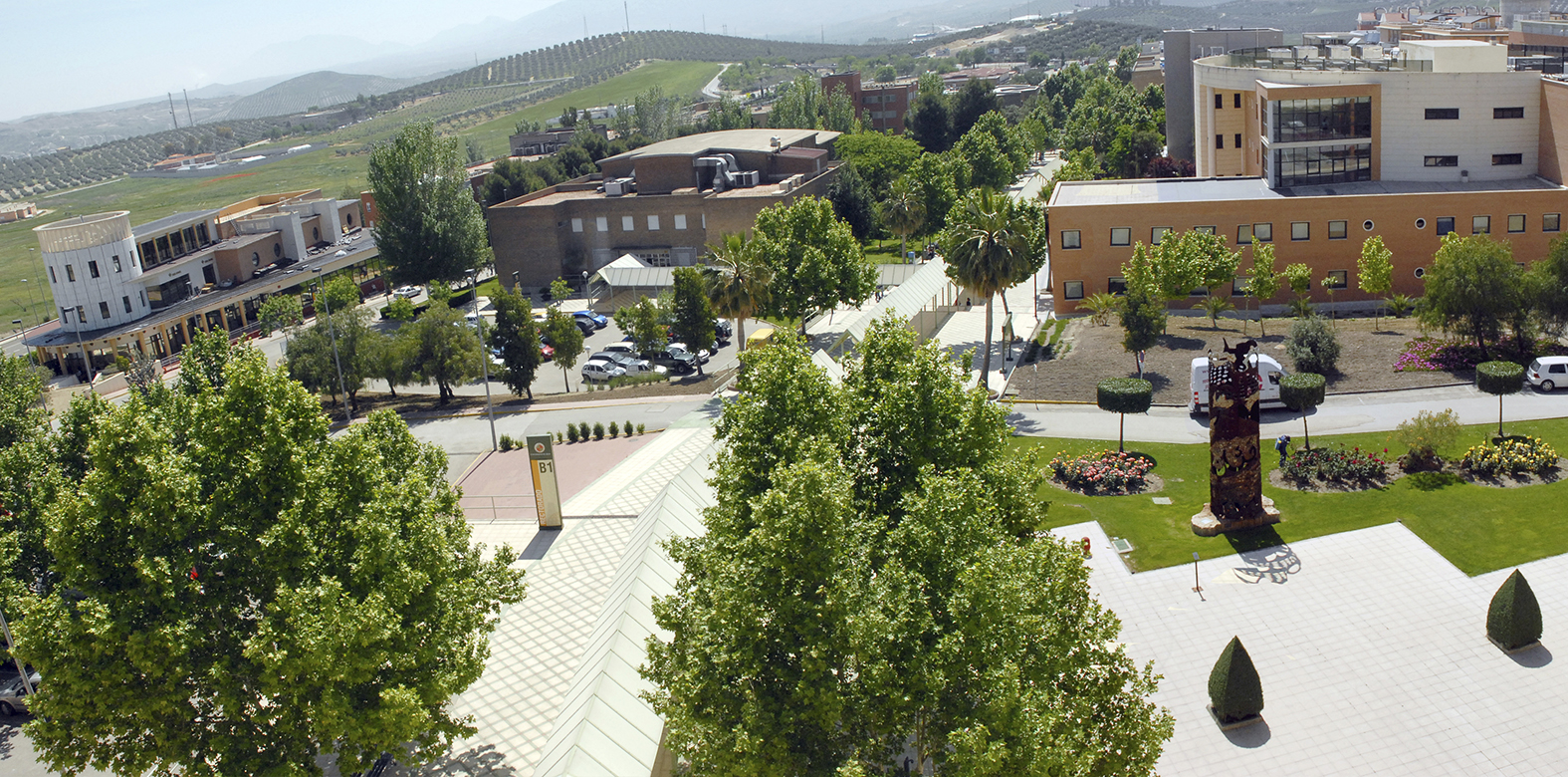 Año 2021 - Jaén