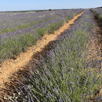 20250628 075813471 Ios